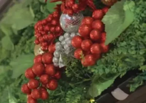 armamos el arbolito en the senior home