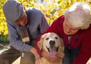 mascotas en la tercera edad | the senior home